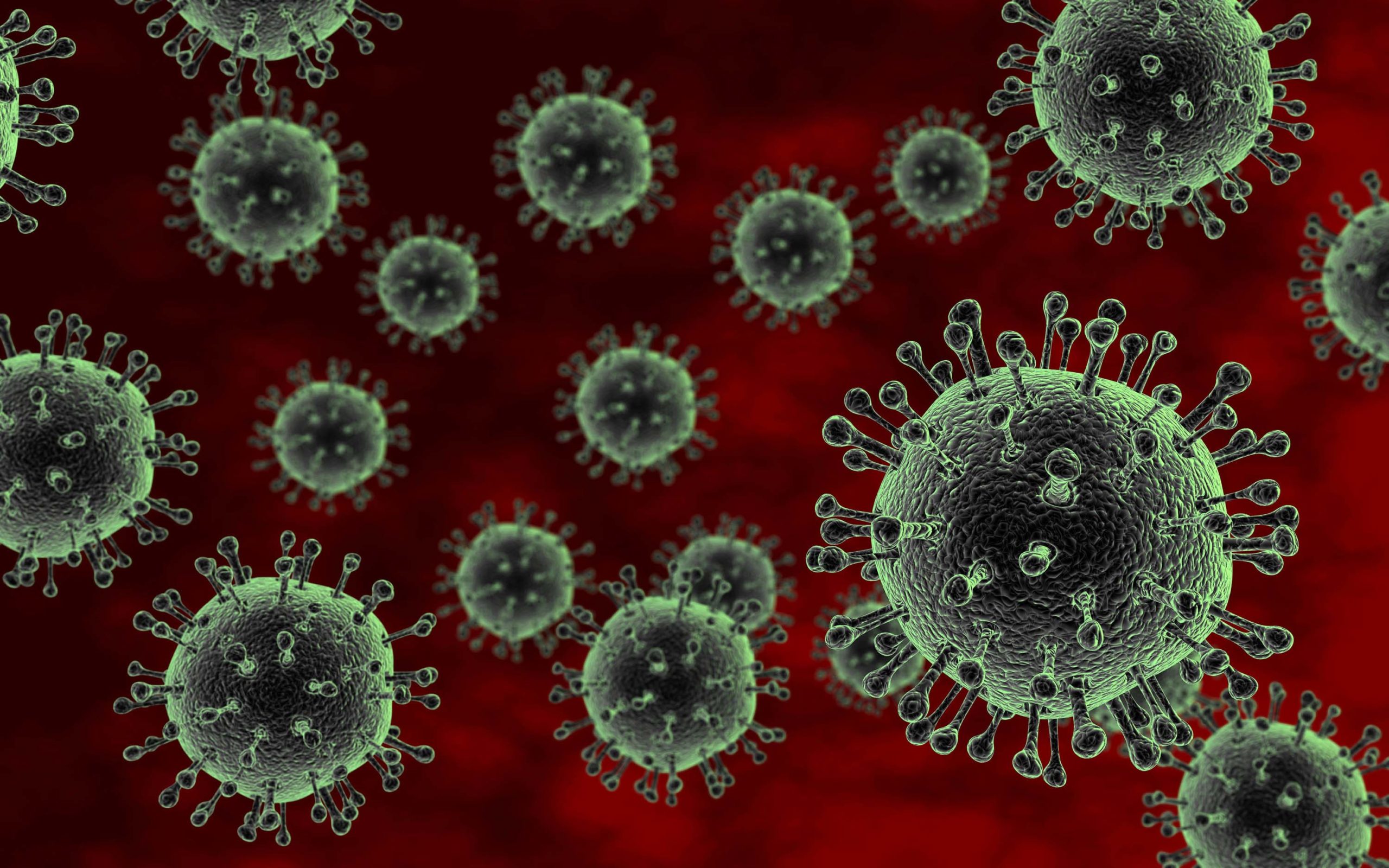 Вирус гриппа h5n1