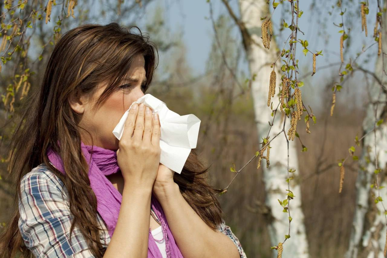 Симптомы аллергии на березу. Аллергия на весну. Fkthubz YF GSKWE.