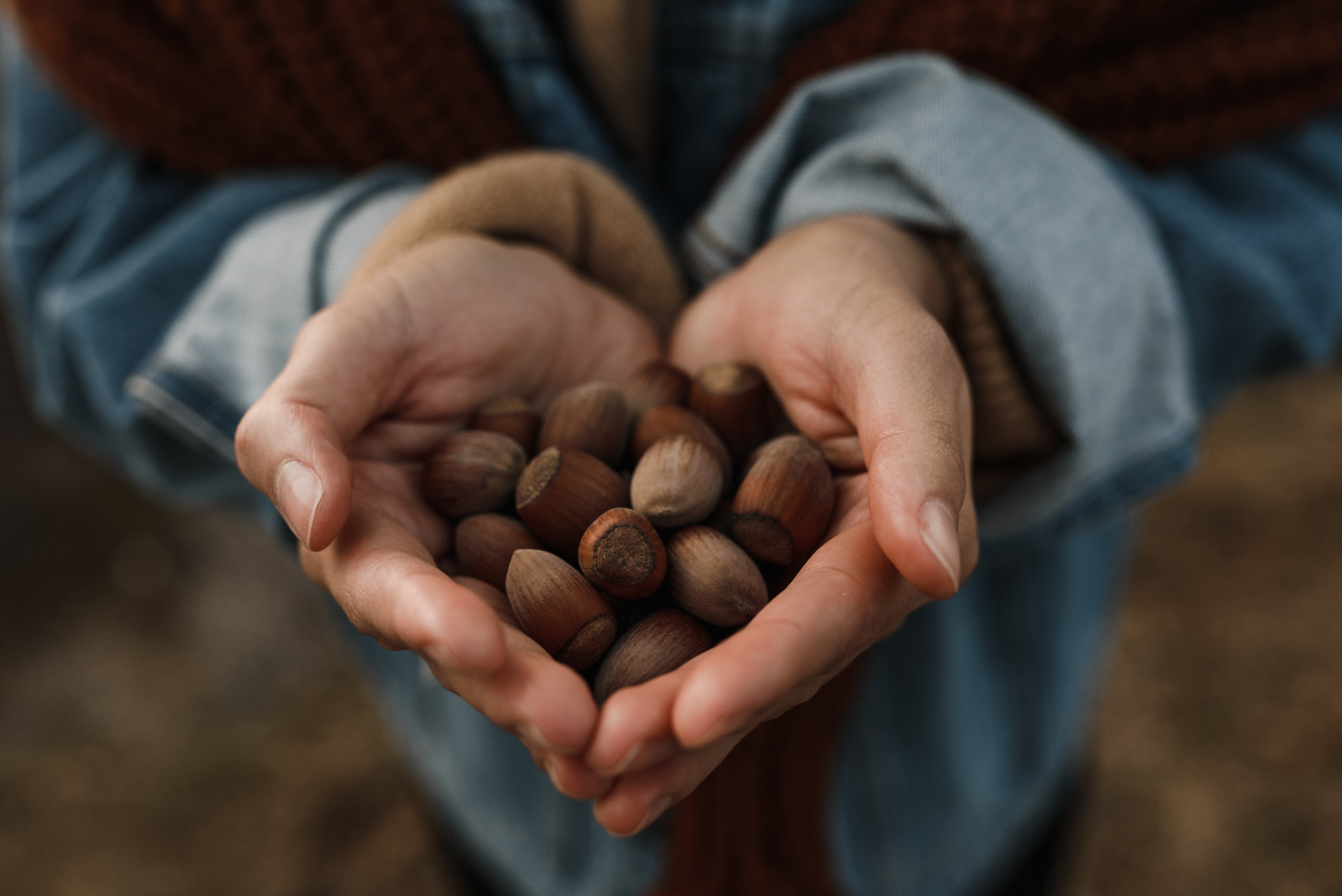 Фото: Arina Krasnikova: https://www.pexels.com/ru-ru/photo/7351105/