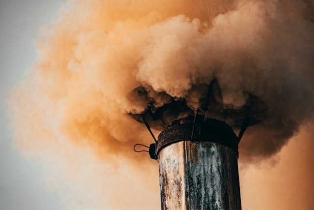 Фото: Ion Ceban @ionelceban: https://www.pexels.com/ru-ru/photo/3080527/