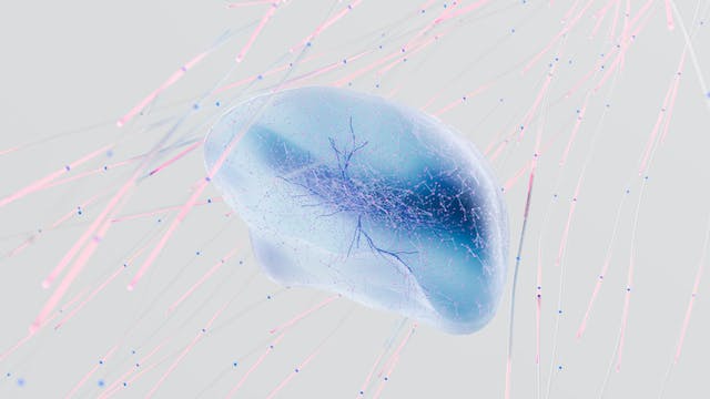 Фото: Google DeepMind: https://www.pexels.com/ru-ru/photo/17483867/
