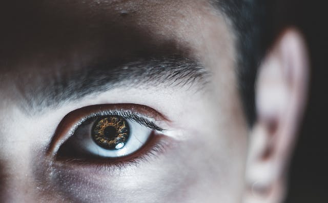 Фото: Andrea Bova: https://www.pexels.com/ru-ru/photo/2953811/