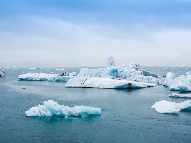 Фото: Guillaume Falco: https://www.pexels.com/ru-ru/photo/2229887/