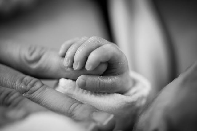 Фото: Pixabay: https://www.pexels.com/ru-ru/photo/208189/