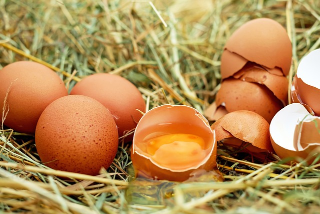 Фото: Ilo/pixabay.com