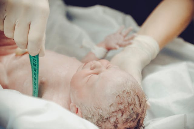 Фото: Vidal Balielo Jr.: https://www.pexels.com/ru-ru/photo/3376787/