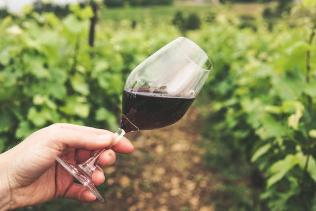 Фото: Grape Things: https://www.pexels.com/ru-ru/photo/2954924/
