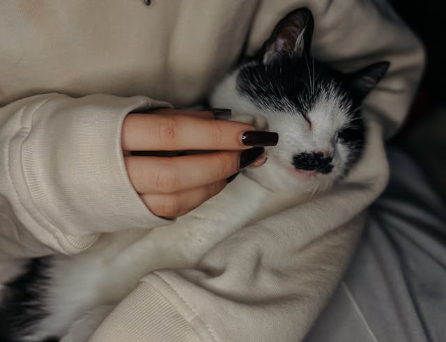 Фото: Anastasia Kisil: https://www.pexels.com/ru-ru/photo/29707858/