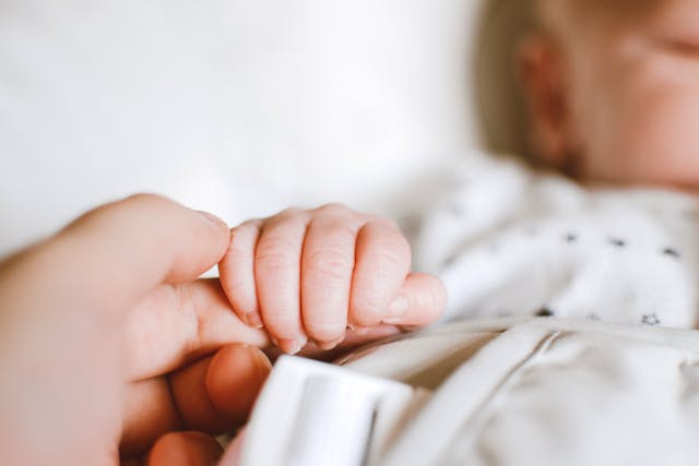 Фото: Lisa from Pexels: https://www.pexels.com/ru-ru/photo/2721581/
