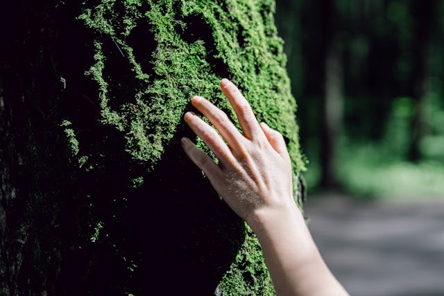 Фото: SHVETS production: https://www.pexels.com/ru-ru/photo/8933960/