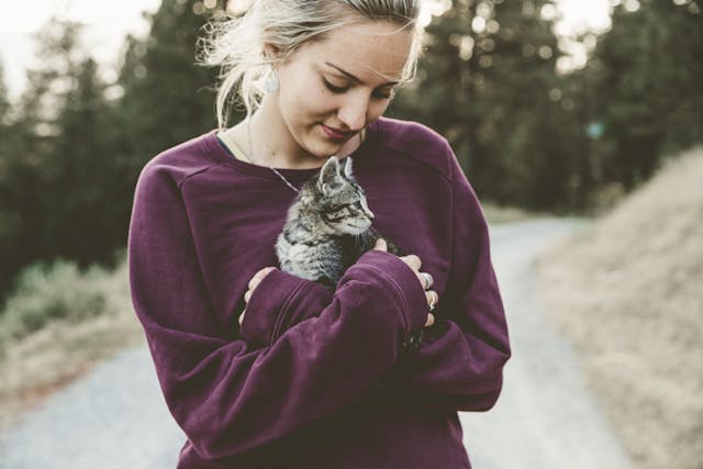 Фото: Japheth Mast: https://www.pexels.com/ru-ru/photo/569170/