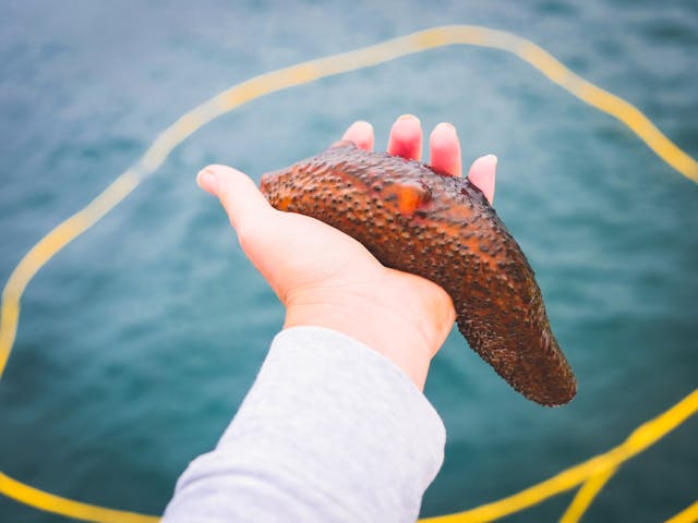 Фото: Kindel Media: https://www.pexels.com/ru-ru/photo/8824656/