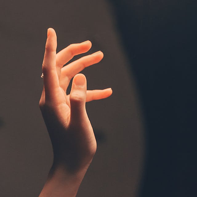 Фото: Min An: https://www.pexels.com/ru-ru/photo/1454797/