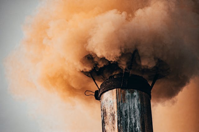 Фото: Ion Ceban @ionelceban: https://www.pexels.com/ru-ru/photo/3080527/