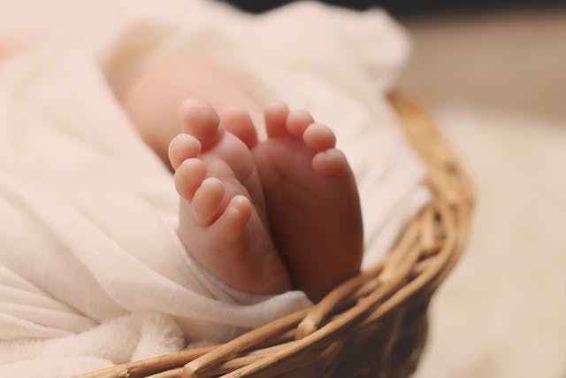 Фото: Pixabay: https://www.pexels.com/ru-ru/photo/161534/