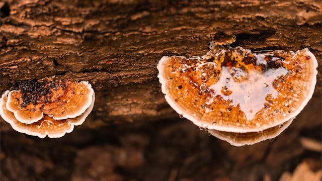 Фото: PerfectlyImperfect: https://www.pexels.com/ru-ru/photo/2688376/